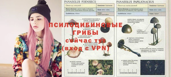 кокаин колумбия Новозыбков