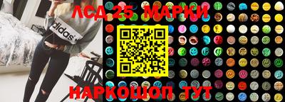 шишки Балахна