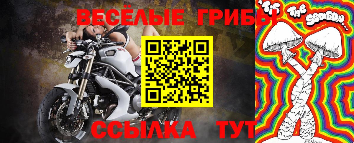 Галлюциногенные грибы прущие грибы  как найти наркотики  Котовск  Псилоцибиновые грибы мухоморы 