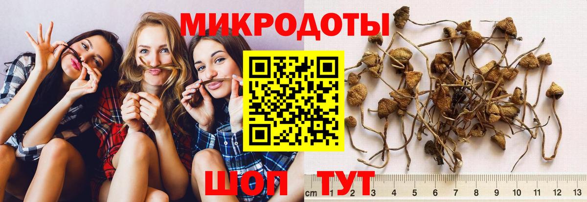 Галлюциногенные грибы ЛСД Котовск