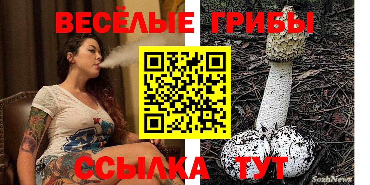 Котовск  Псилоцибиновые грибы Magic Shrooms  Вход с VPN  Псилоцибиновые грибы мицелий 