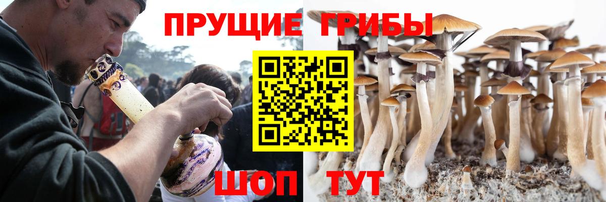 ЭКСТАЗИ  Котовск  МАРИХУАНА  Вход с VPN  Меф   ГАШИШ 