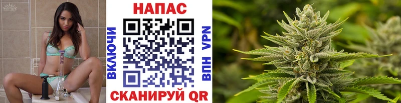 Шишки марихуана Ganja  продажа наркотиков  гидра рабочий сайт  Котовск 